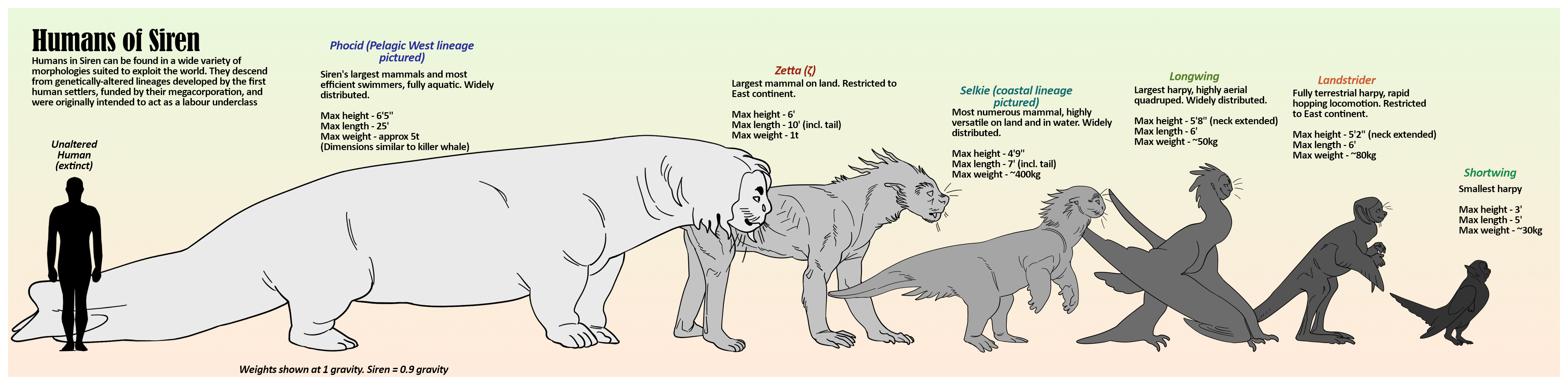 A line-up of the different types of people on Siren showing their sizes relative to one another. From left to right and in order of decreasing size there is a phocid, a zeta, a selkie, a longwing harpy, a landstrider harpy, and a shortwing harpy. In silhouette there is a figure of an unmodified human standing by the phocid's tail. 